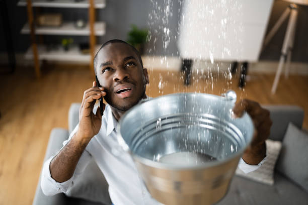 Best Commercial water damage restoration  in Camp Hill, AL