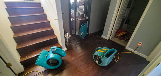 Best Flooded house restoration  in Camp Hill, AL