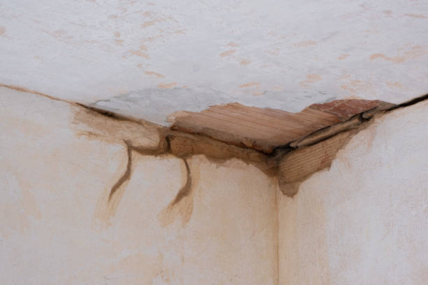 Water damage restoration process in AL