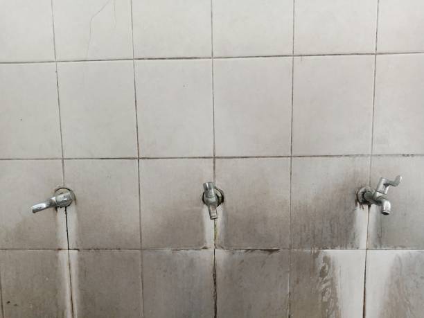 Best Water damage restoration specialists  in Camp Hill, AL