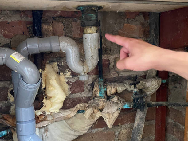 Best Local water damage restoration  in Camp Hill, AL