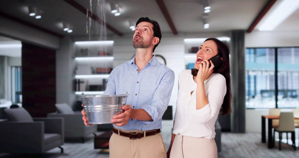 Best Basement water damage restoration  in Camp Hill, AL
